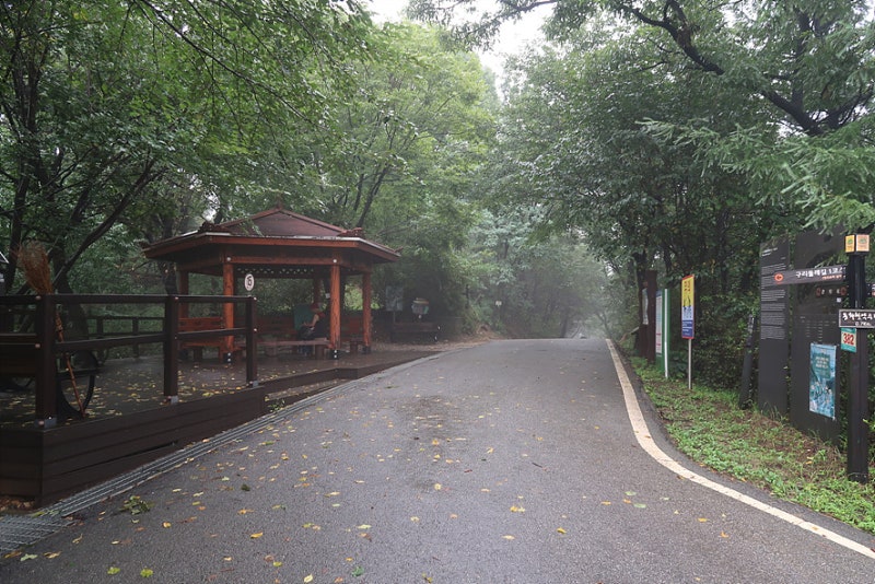 망우산 사색의 길 숲길