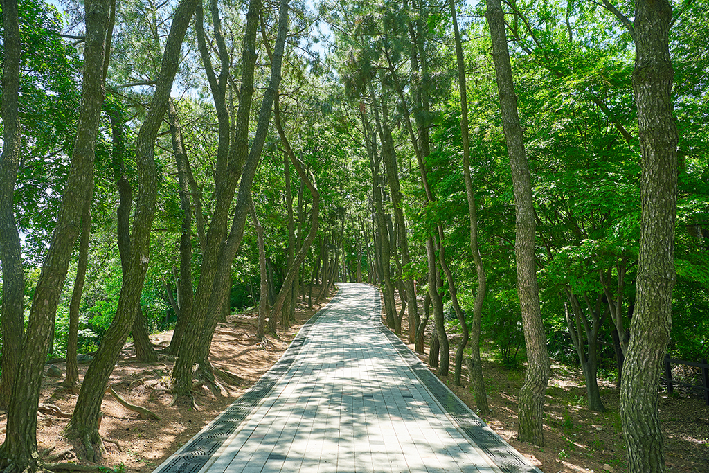 망우리공원 산책 풍경