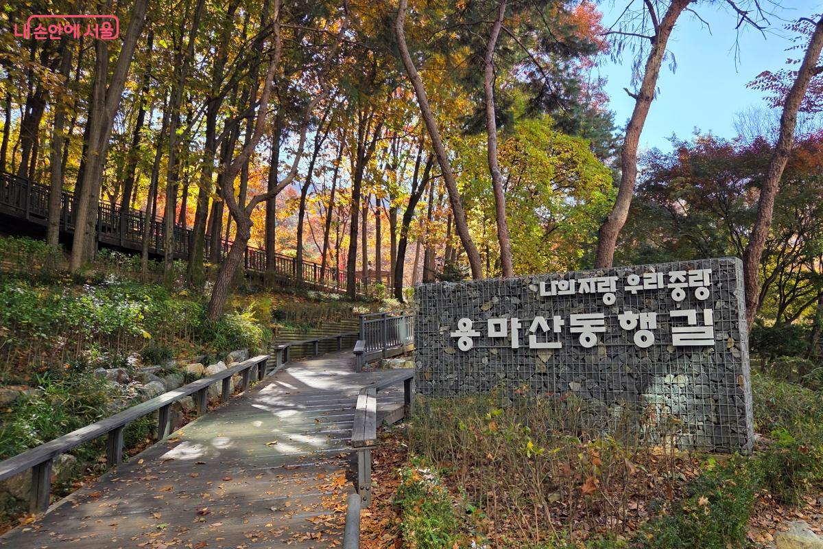 용마산 산책로